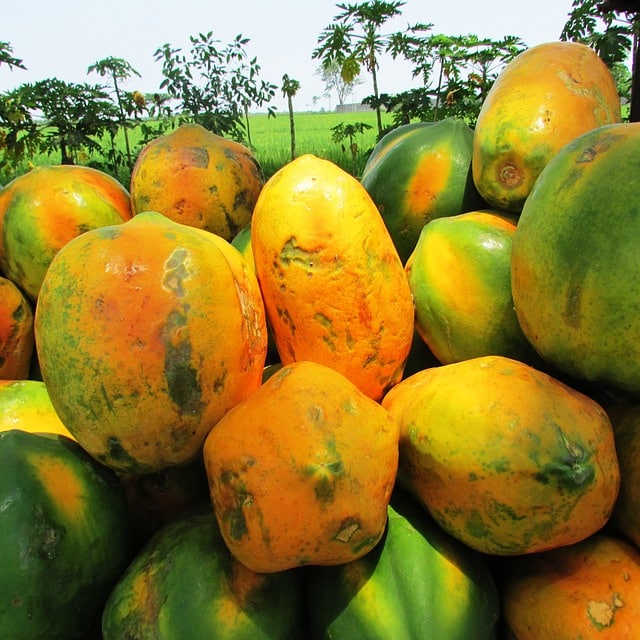 Papaya is a good source of fiber to your meal