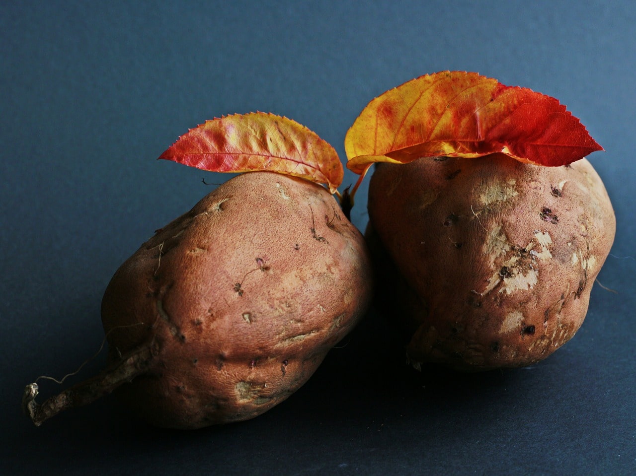 Low carb, high fiber treat: sweet potato recipes