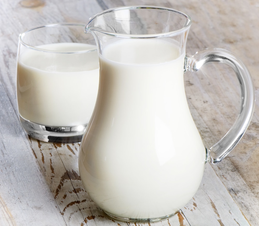 Can milk help you lose weight?