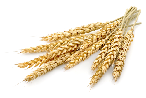 What Can Be Used As A Natural Diuretic What Can Be Used As A Natural Diuretic