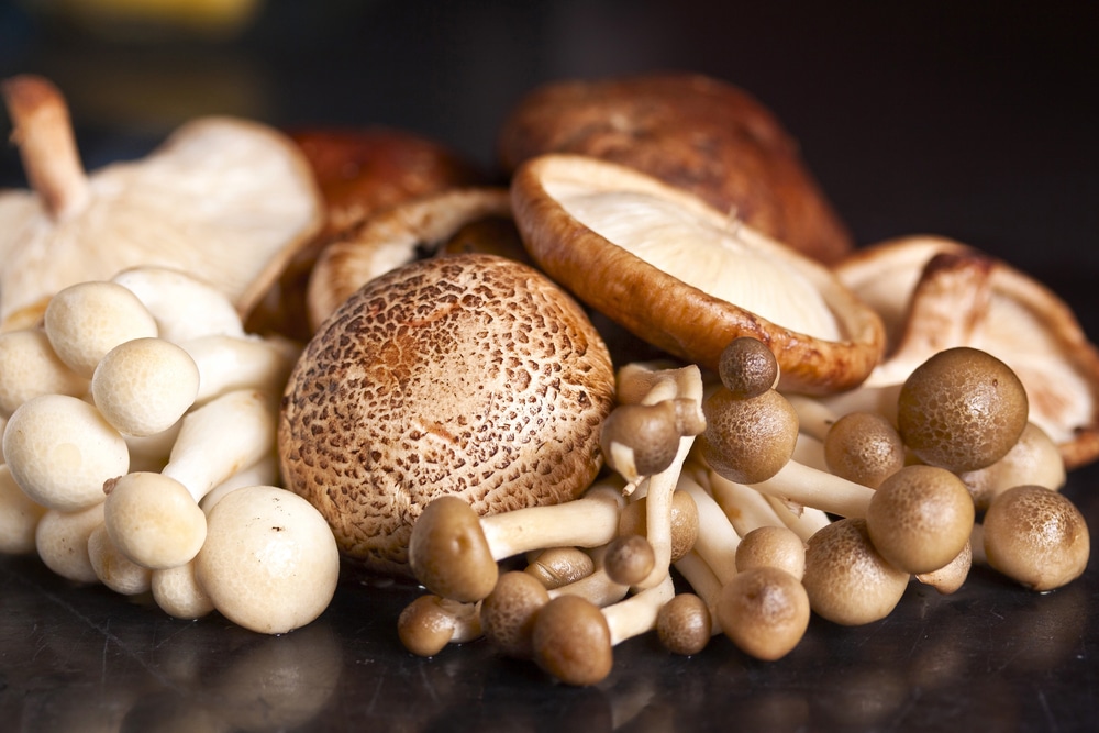 6 Reasons to Make Way for Mushrooms