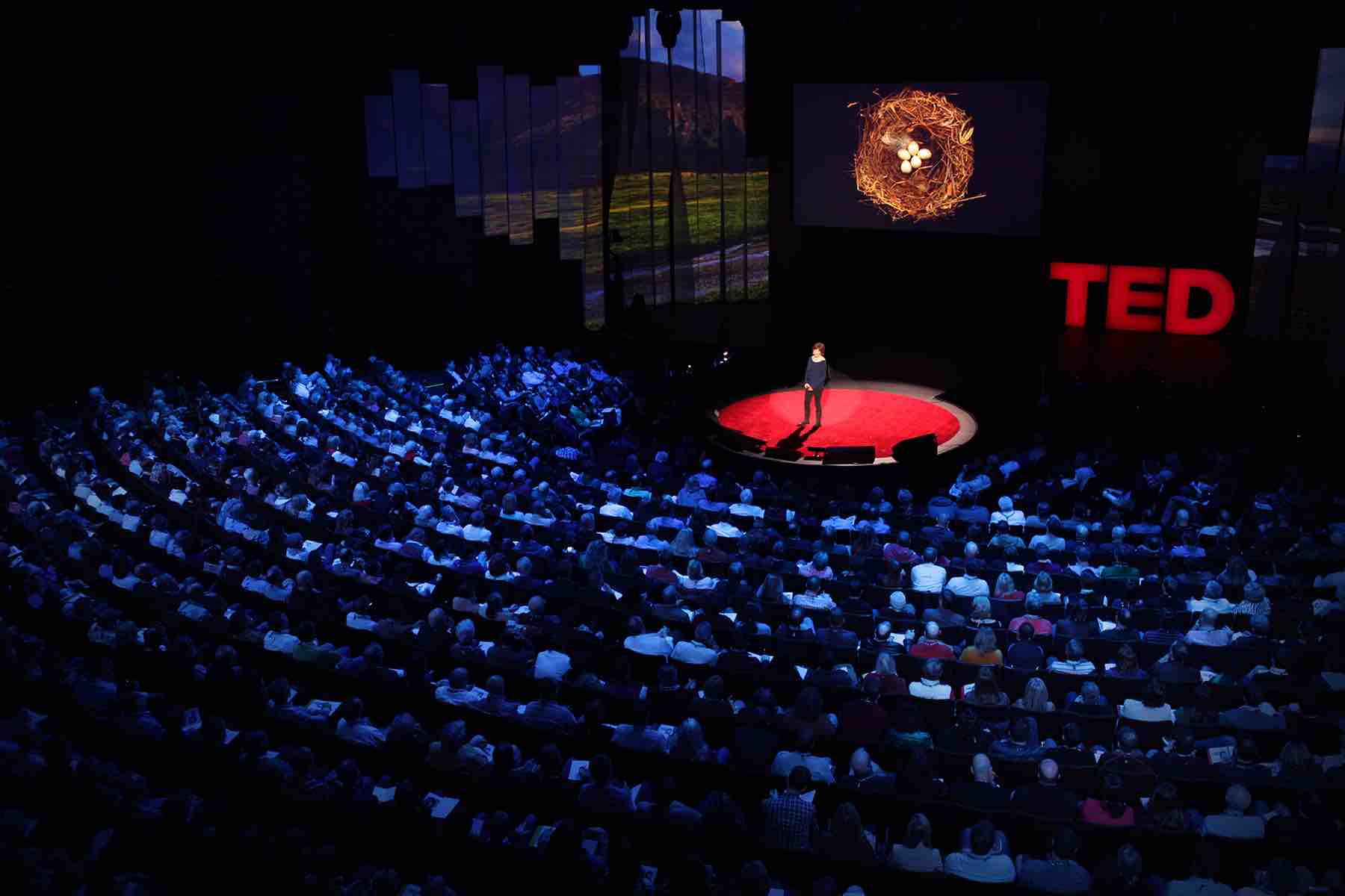 10 Inspiring Health and Fitness TED Talks You Should Not Miss