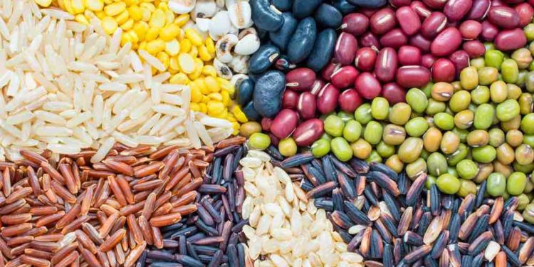 Protein Rich Food: Diet Plan, Benefits and Vegetarian Recipes 1 Protein Rich Food: Diet Plan, Benefits and Vegetarian Recipes