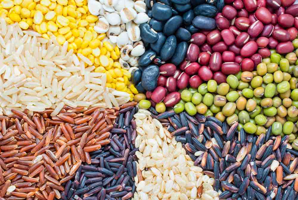 Protein Rich Food Vegetarian Diet Plan Benefits Recipes HealthifyMe