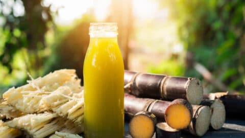 Sugarcane Juice - Benefits, Nutrition, FAQs- HealthifyMe