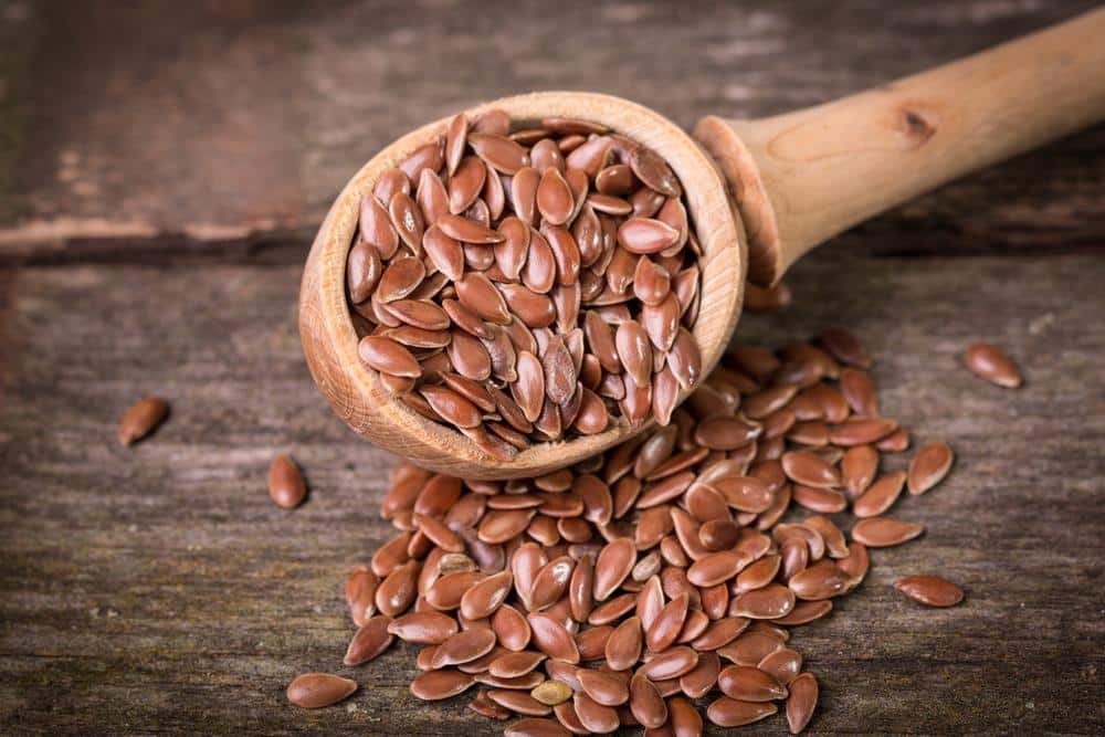 Web Stories –  The Top 9 Health Benefits of Flaxseed