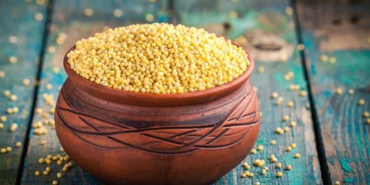 What are Millets: Types, Benefits and Recipes 1 millets feature image