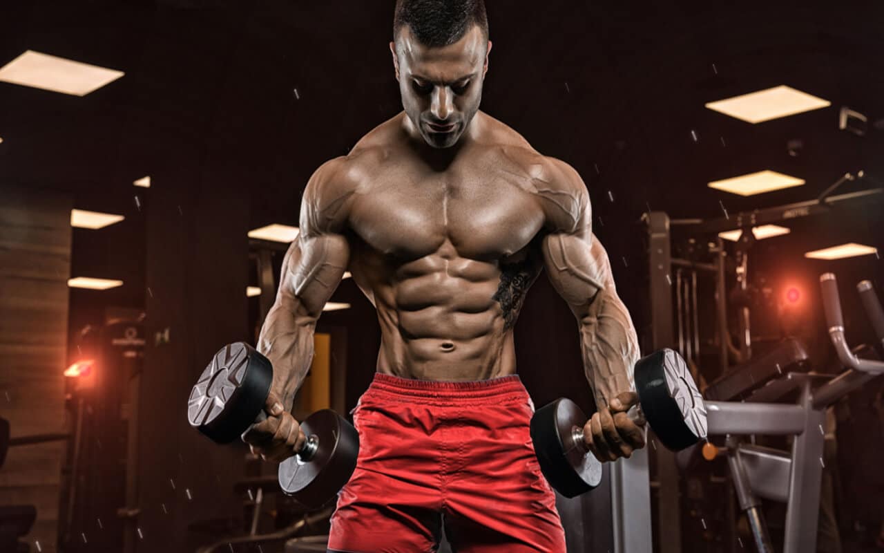 The Ultimate Bodybuilders Guide To Bulking and Cutting - Fitness