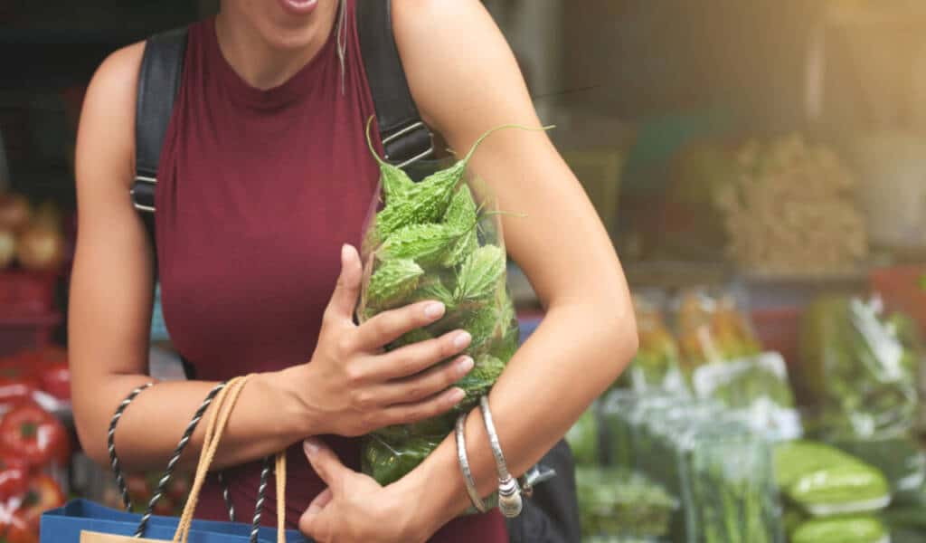 Bitter Gourd (Bitter Melon) Benefits, Nutritional Facts, And Recipes