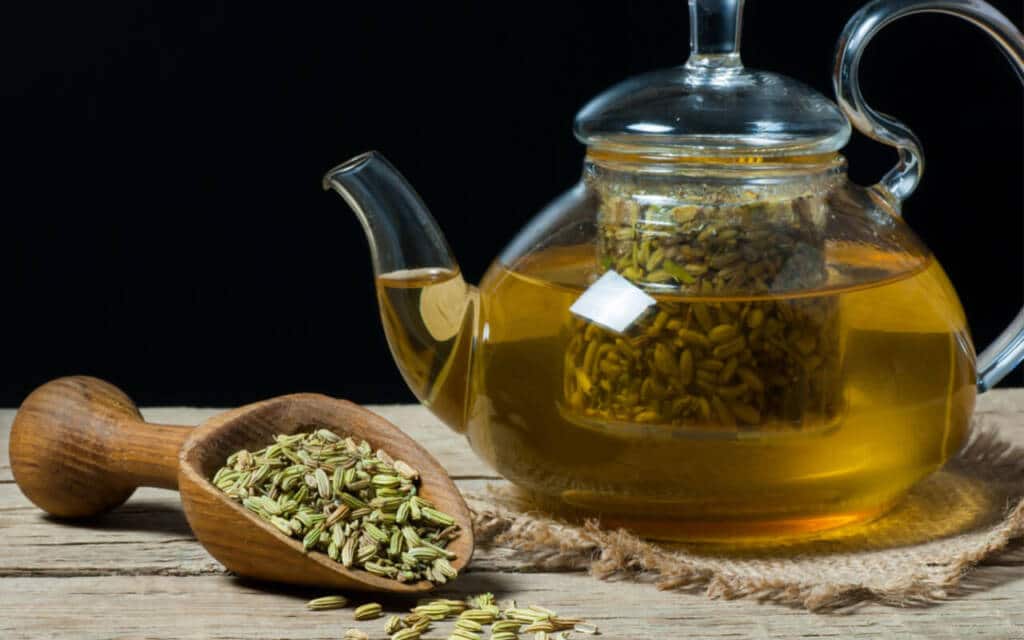 Fennel Seeds Benefits, Nutrition, And Weight Loss HealthifyMe