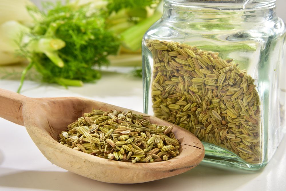 Fennel Seeds Aids in Weight Loss: