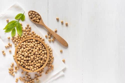 soybean