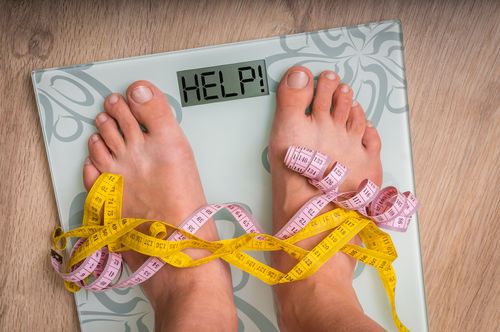Bitter gourd helps treat obesity