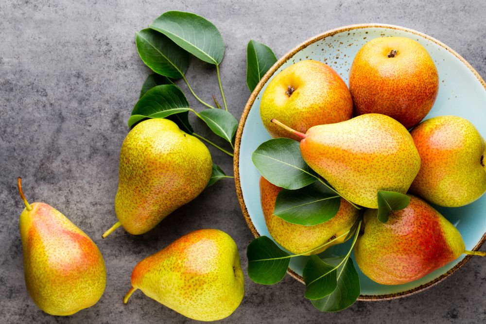 Pear Fruit – Health Benefits, Nutrition, and Recipes