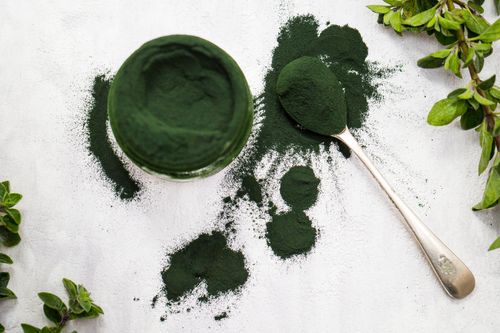 Poudre de spiruline