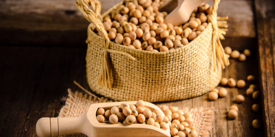 Soybean Benefits, Nutrition Value & Recipes HealthifyMe