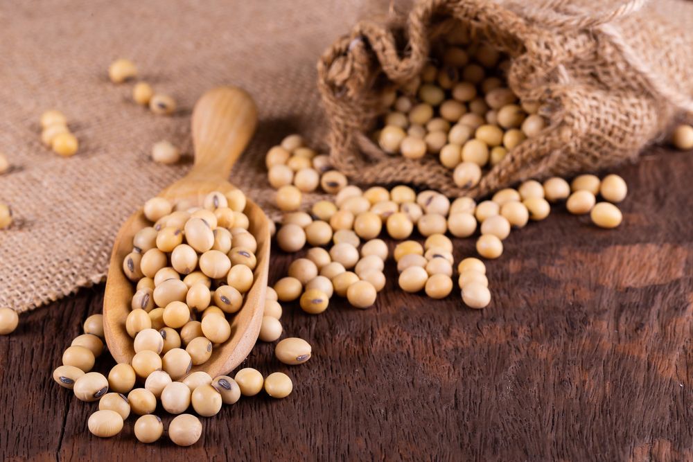 Top 10 Health Benefits of Soybean: HealthifyMe Blog
