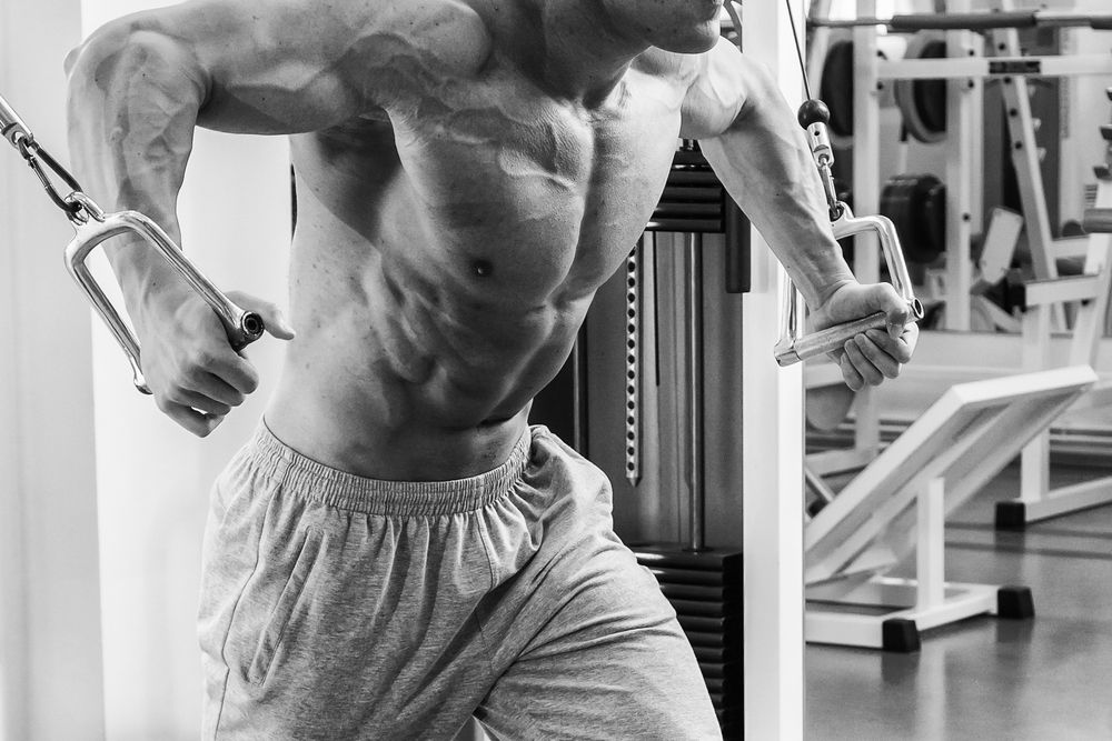 The Ultimate Calisthenics Exercises for a Great Chest Workout — The  Sporting Blog