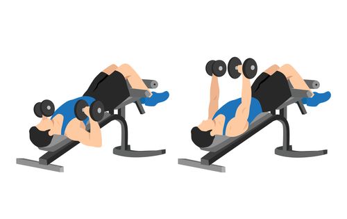 Decline Dumbbell Bench Press