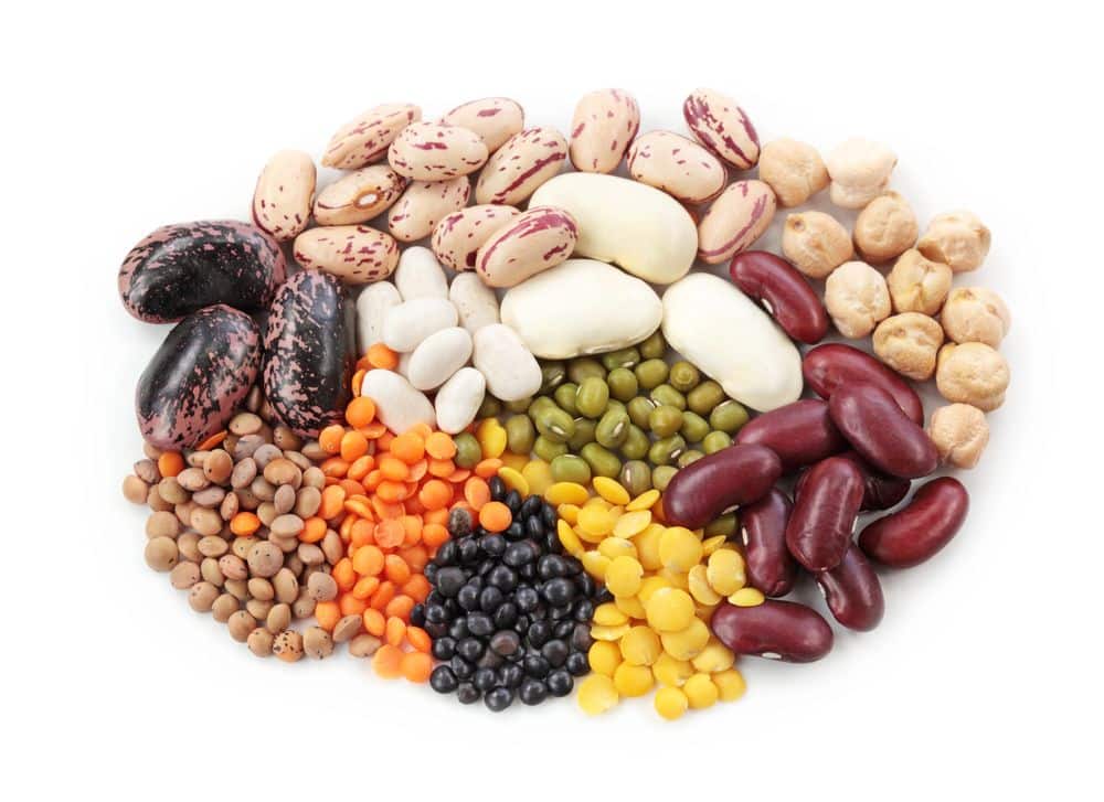 Legumes