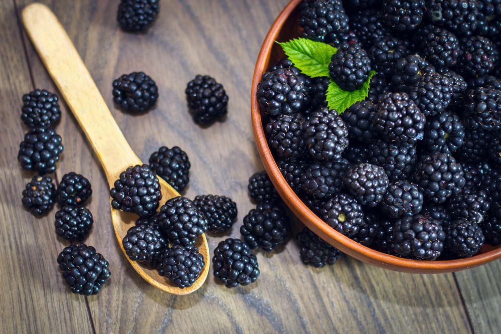 Two Healthy Recipes with Blackberry Fruit