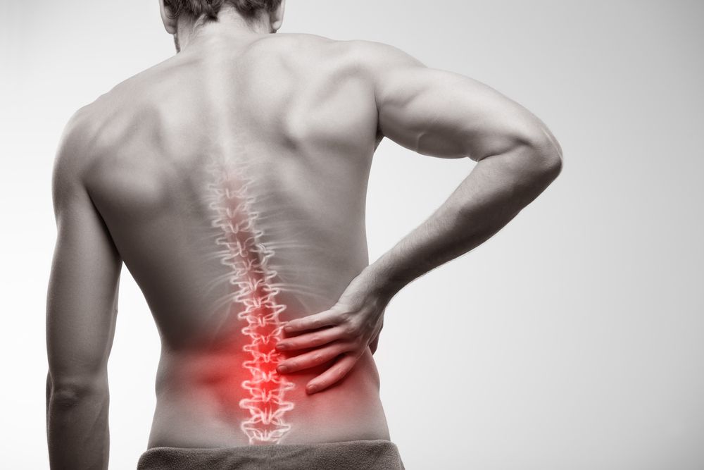 Lower Back Pain: Symptoms, Causes, and Exercises