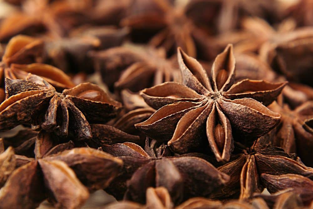 Star Anise: Benefits and Nutritional Facts