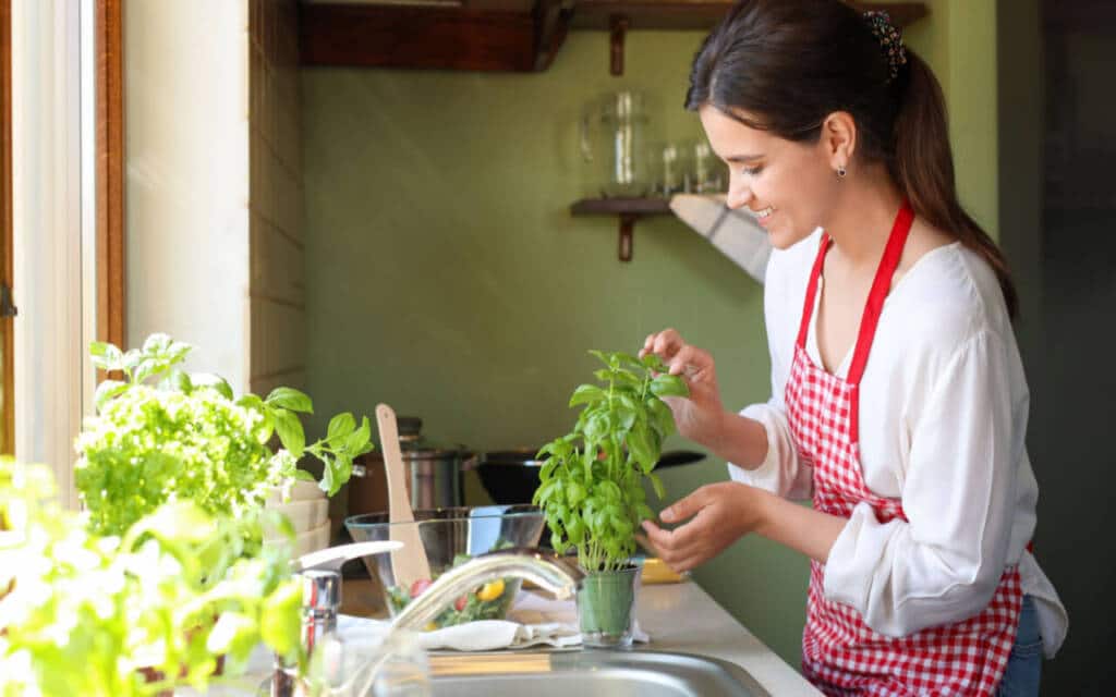 10 Health Benefits Of Basil Leaves HealthifyMe