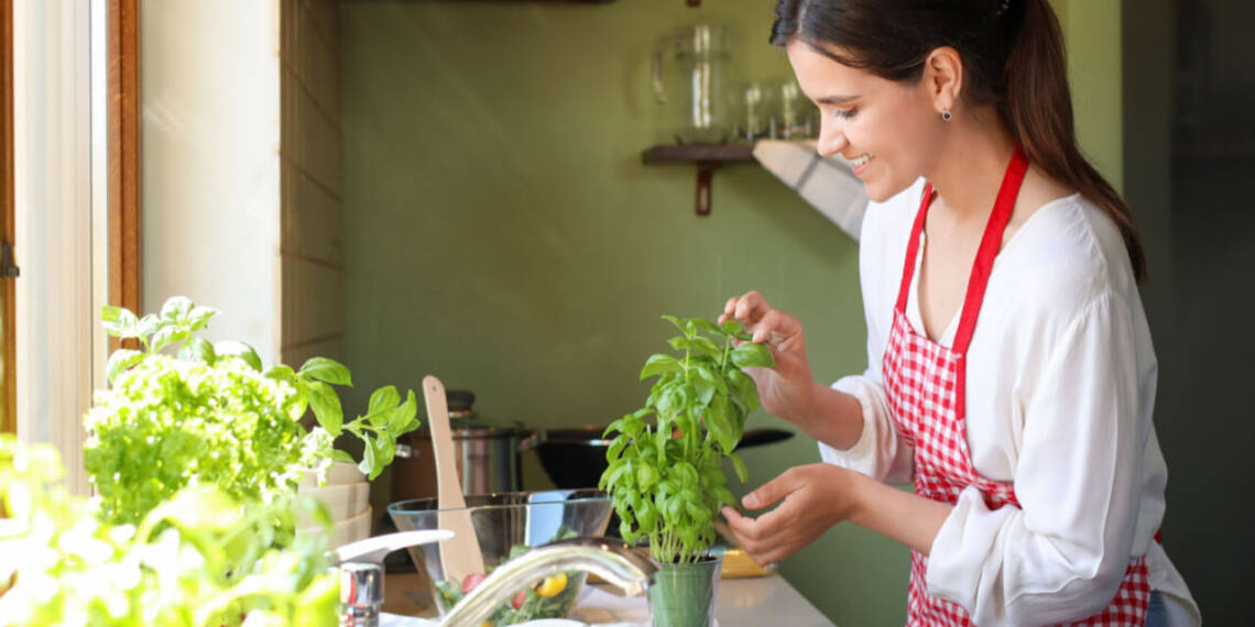 10 Health Benefits of Basil Leaves HealthifyMe