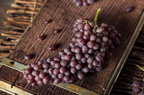 Champagne Grapes