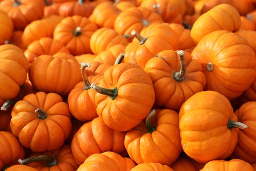 Pumpkins