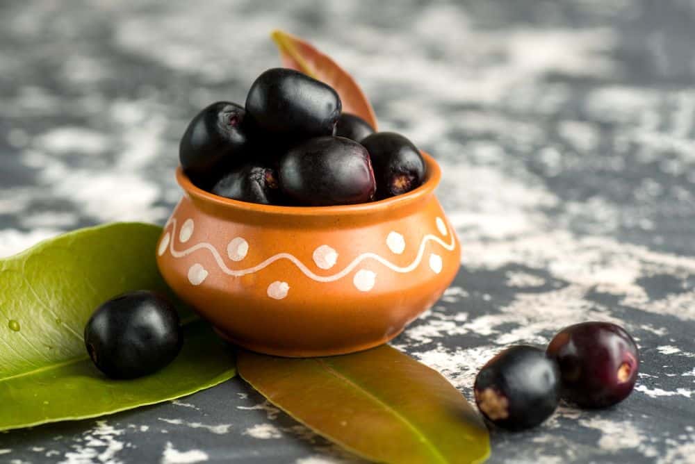 Healthy Recipes Using Jamun Fruit