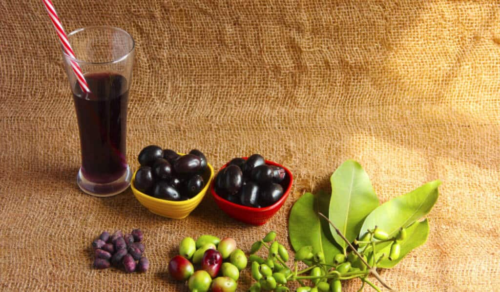 Jamun Fruit Benefits, Nutritional Facts, & Recipes HealthifyMe