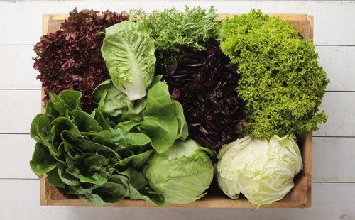Salad - moisturizing food