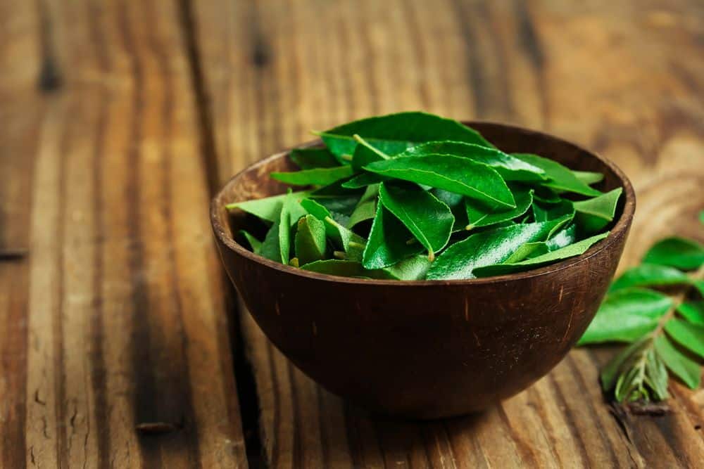 Curry Leaves Are Best To Boost Brain Functions 