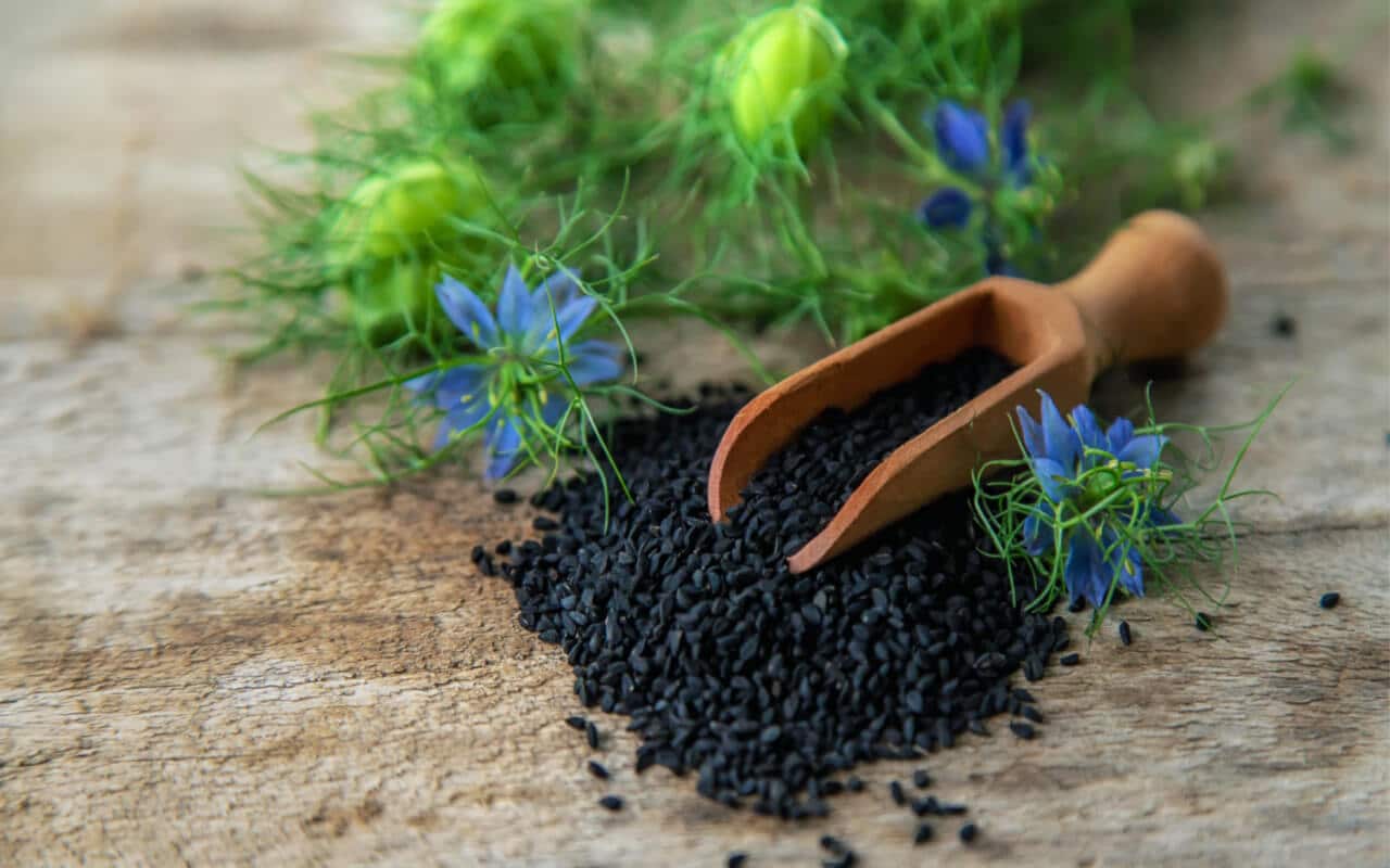 Does Black Seed Oil Help With Menstrual Cramps – Nature's Blends