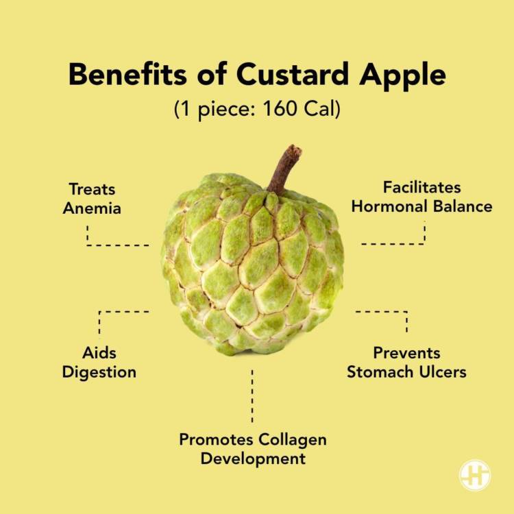 Custard Apple Benefits Nutrition Fact Ways To Consume HealthifyMe custard-apple-benefits-nutrition-fact-ways-to-consume-healthifyme