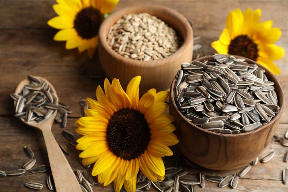 Sunflower Seeds for Overall Well Being