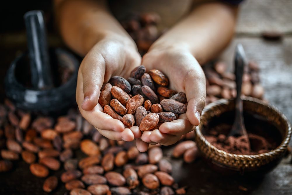 Relish the 7 sweet benefits of Dark Chocolate- HealthifyMe