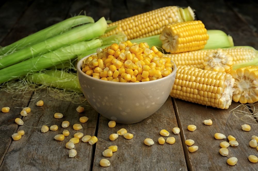 Sweet Corn Benefits: Everything You Need to Know - HealthifyMe