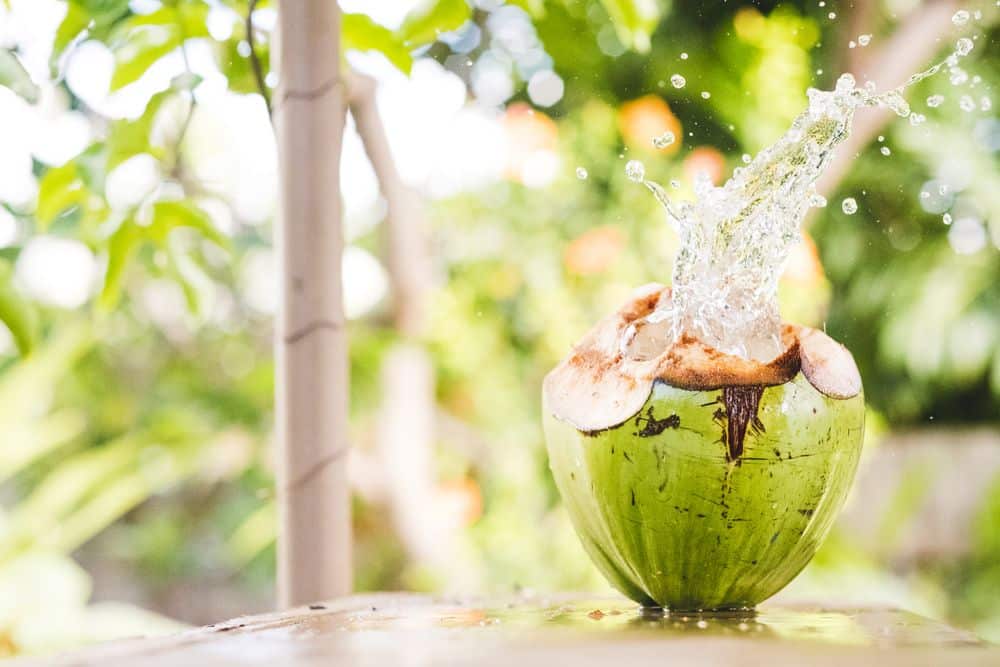 Benefits of Coconut Water - The Fluid of Life | HealthifyMe