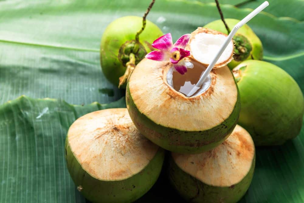 10 Health Benefits of Tender Coconut Water - HealthifyMe