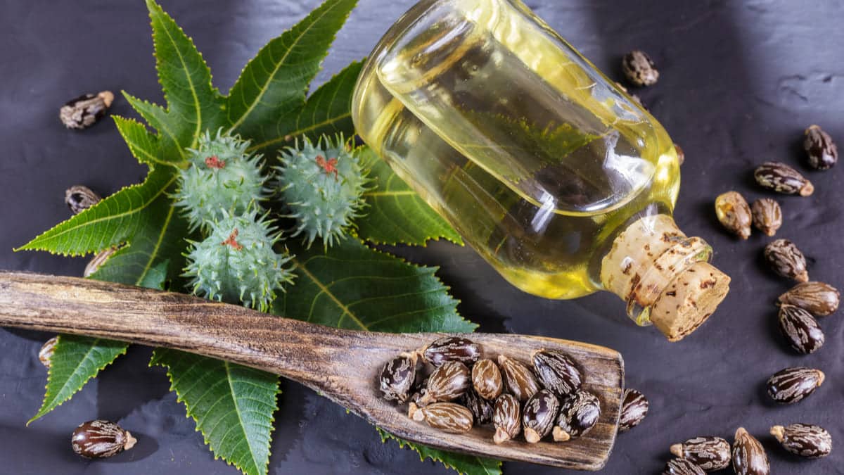 Castor Oil Benefits- HealthifyMe