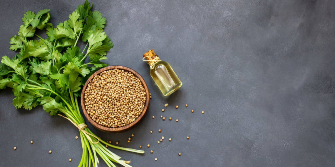 Coriander Benefits, Nutritional Values, & Healthy Recipes HealthifyMe