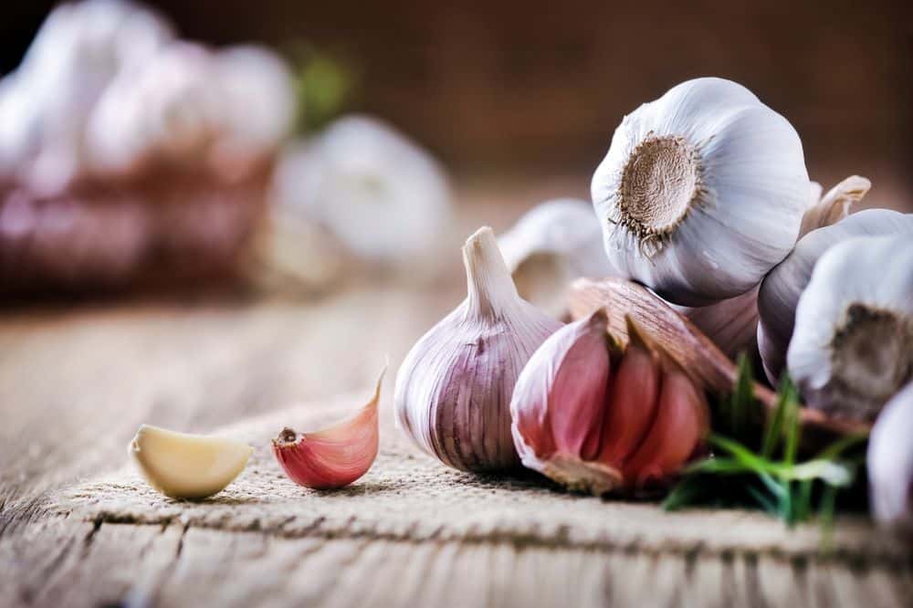 Garlic- The Best Friend we all need- HealthifyMe