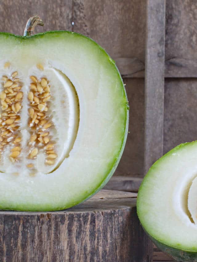 10 Proven Health Benefits of Ash Gourd