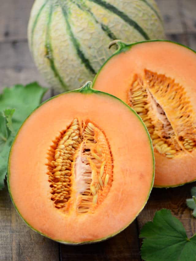 Web Stories 10 Incredible Health Benefits Of Muskmelon Best Items Finder