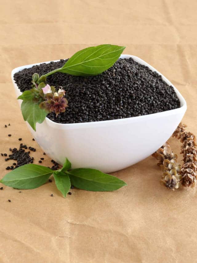 7 Fascinating Benefits of Sabja Seeds