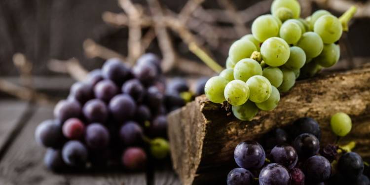 Health Benefits of Eating Grapes- HealthifyMe