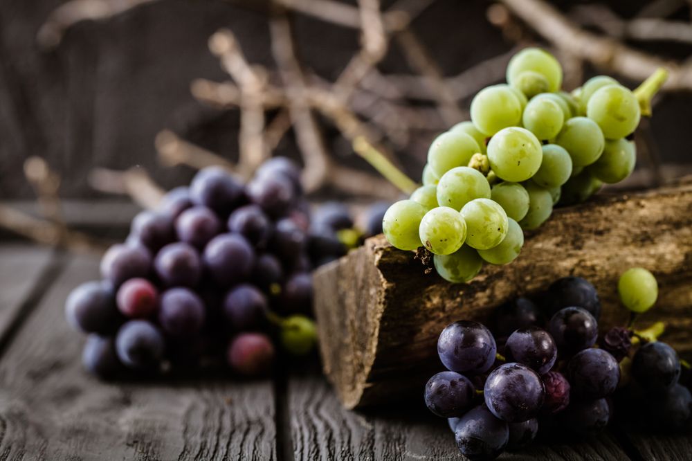 Vynuogių nauda, ​​jų rūšys ir maistinės vertės
